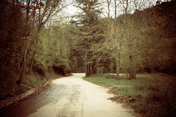 Obraz premium Castellar de N'Hug in Catalonia, Spain.