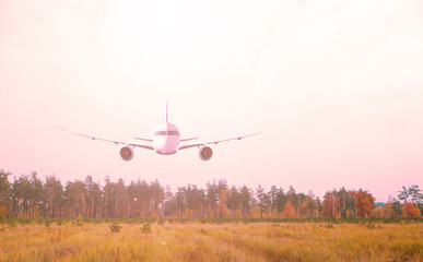 Plane over a forest and a dry field in nature. white sun