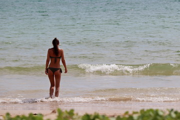Beach vacation, slim girl in bikini going to swim in the sea, rear view. Tropical sandy coast