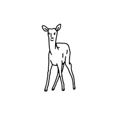 Wild deer baby fawn vector outline black white sketch illustration.