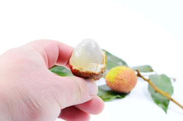 Holding a peeled litchi on a white background