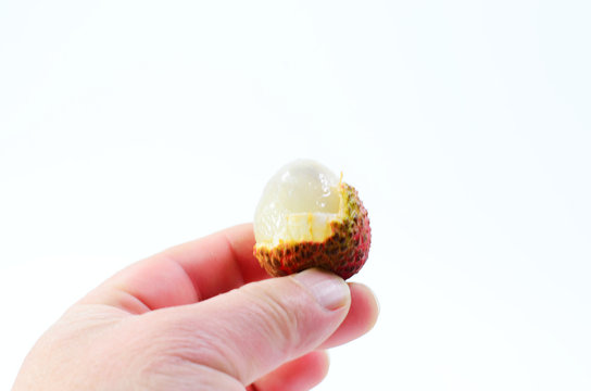 Holding a peeled litchi on a white background