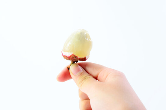Holding a peeled litchi on a white background