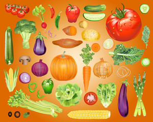 Photo-Realistic Vegetable Vector Kit - Waterdrops optional - Isolated and arrangeable for print, web, apps, media