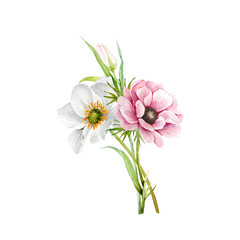 delicate bouquet of flowers watercolor illustration on white background, white and pink flower with greenery