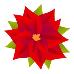 Celebration poinsettia icon. Cartoon of celebration poinsettia vector icon for web design isolated on white background