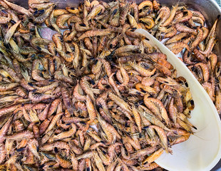 Close-up view of a pile of fresh little shrimps on the retail display at the local farmers market. Seafood concept.