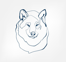 wolf vector animal wild one line design