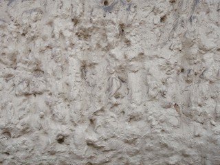 texture colored wall of an old building in a big city