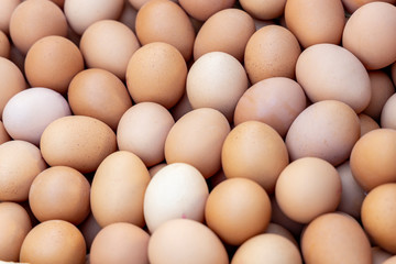Fresh eggs for sale at a market.