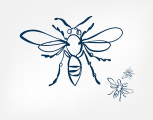 bee wasp insect vector art line isolated doodle illustration