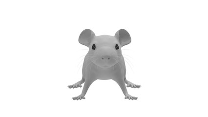 3D rendering of a mouse rat animal small rodent isolated on white