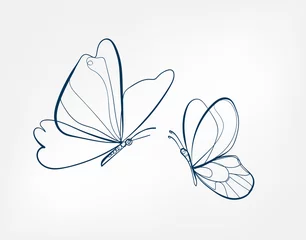 schmetterling insekt vektorkunstlinie isolierte gekritzelillustration © CharlieNati