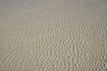 Beach sand background. Close up texture with sea sand