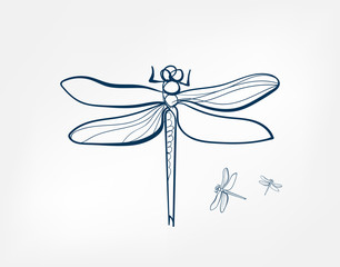 dragonfly insect vector art line isolated doodle illustration