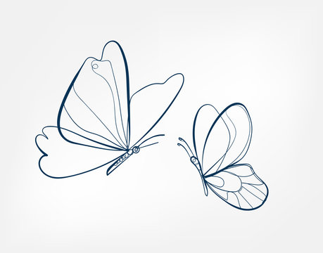 Isolated Butterfly Drawing Vector Download-vinhomehanoi.com.vn