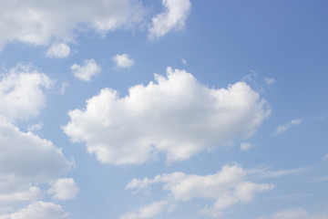 Naklejka na ściany i meble White curly clouds on a blue sky