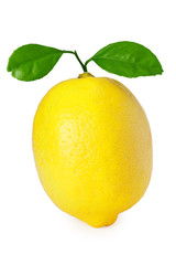 lemon with green leaf isolated on white background. healthy food