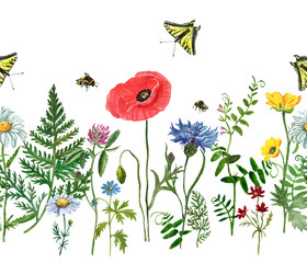 Watercolor wild flowers seamless border. Hand drawn floral field background. Poppy, blue cornflower, clover, cosmos, daisy, green forest herbs, mouse peas, buttercups. Botanical illustration