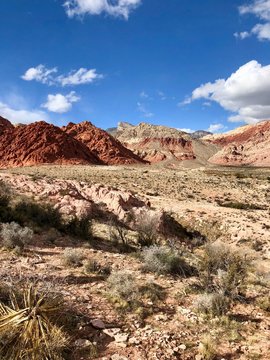 Vertical shot of Red Rock Canyon
