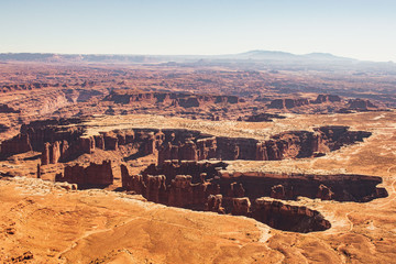 Canyonlands View