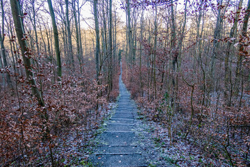 Obraz premium Higway to heaven