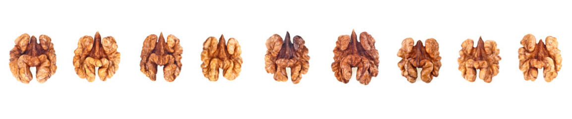 Set of various kernel walnuts isolated on a white background. Top view.