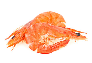 Two freshly cooked king prawns isolated on a white background