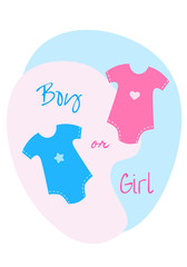 Gender reveal party. It's a boy or girl. Happy pregnancy