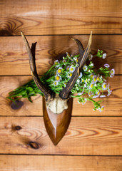 Deer horns and daisies on a wooden wall