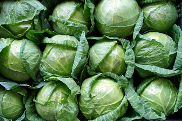 heads of cabbage for food texture