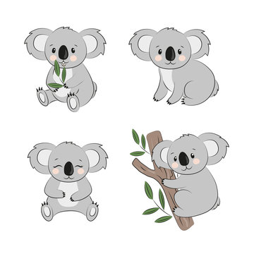 Cartoon koala bears set. Vector illustration for kids.