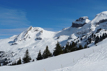 Snow covered slopes of Hoch Ybrig in Switzerland with coniferous vegetation of different size and cumulus clouds above.