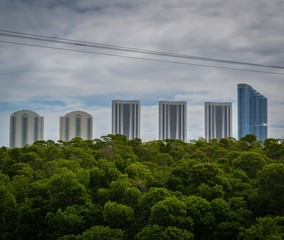 city building skyline architecture skyscraper downtown sky cityscape tower blue green panorama tall florida tree offices