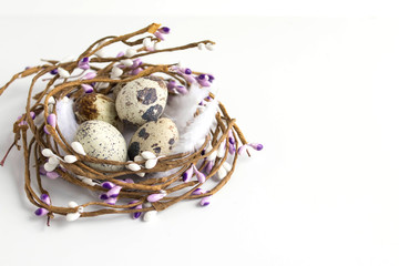 Happy easter background. Quail eggs in a nest on a white background. Copy space