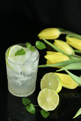 homemade  food ice  drink mint fruit