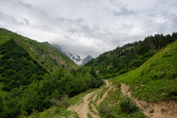 Fototapeta na wymiar Mountain landscape with rocks and trees