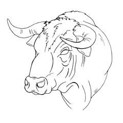 Bulls head, black and white