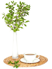 cup of tea with green pittosporum branches in vase on white background