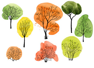 Set of different black ink trees with watercolor crowns for your design. Summer and Autumn seasons. Hand drawn illustration on white background.