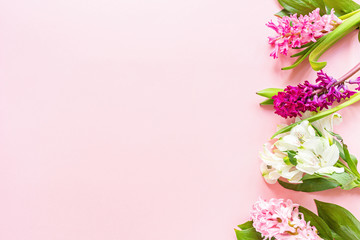 Spring banner with hyacinth flowers on pink pastel background with copy space. Top view, flat lay. Mother's Day or Woman Day Concept.
