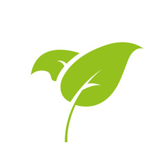Leaf Icon on white background. Green icon. Vector