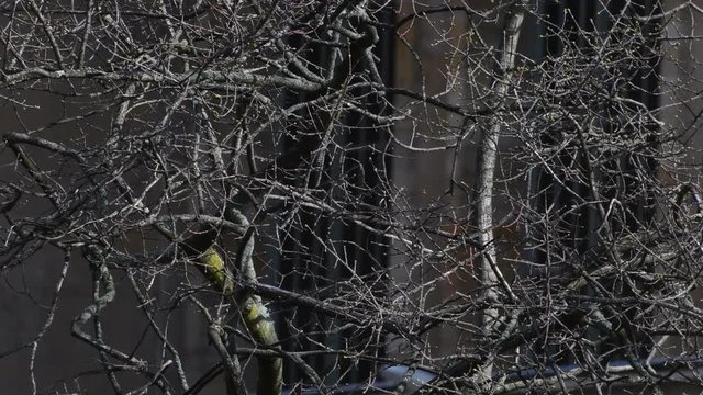 Sunny impressions from the surroundings of Tempelhof Airport in Berlin (Closed on October 30, 2008) of March 5, 2020, Germany