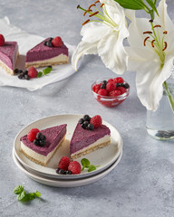 raw vegan double-layer cake with black currant on a light gray background under a concrete texture. Healthy eating, delicious dessert without baking