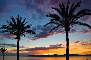 Beautiful sunset on the beach among palm trees, El Arenal, Balearic Islands, Majorca (Mallorca), Spain.