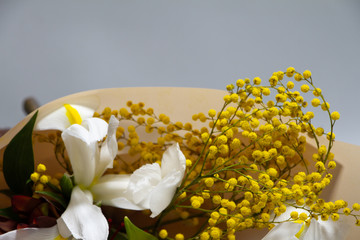 Detail closeup spring bouquet of ruscus, leucadendron, leucospermum, iris, cotton, mimosa branch, tulip on a gray background, selective focus
