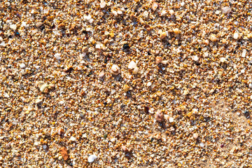 Flat lay surface of sandy beach with yellow sand and small stones background.
