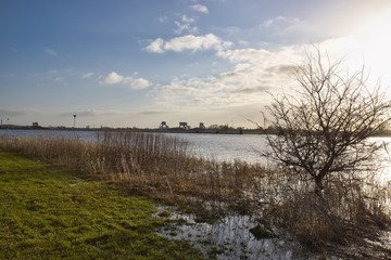 Fototapeta premium High water in the Rijn