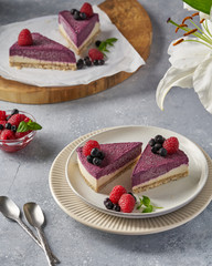raw vegan double-layer cake with black currant on a light gray background under a concrete texture. Healthy eating, delicious dessert without baking