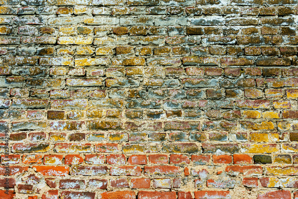 Wall mural background of old brick in different colors, masonry, texture